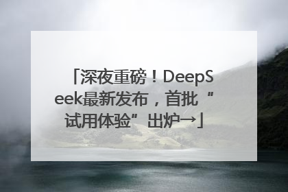 深夜重磅！DeepSeek最新发布，首批“试用体验”出炉→