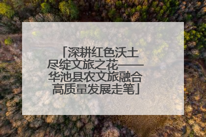深耕红色沃土 尽绽文旅之花——华池县农文旅融合高质量发展走笔