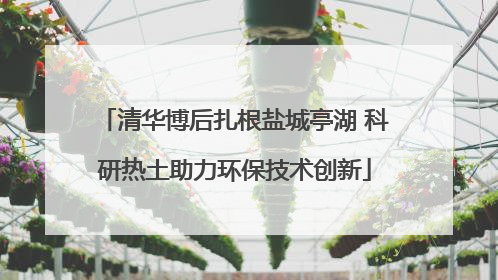清华博后扎根盐城亭湖 科研热土助力环保技术创新