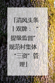 清风头条丨双牌：“提级监督”规范村集体“三资”管理