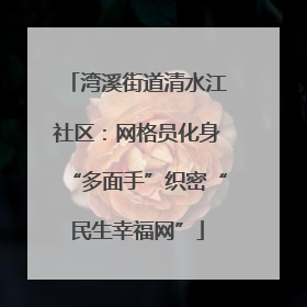 湾溪街道清水江社区：网格员化身“多面手”织密“民生幸福网”