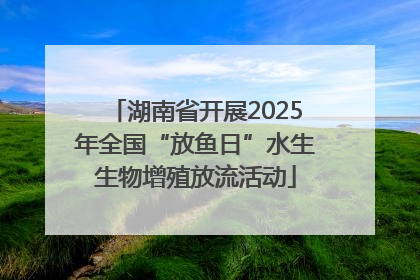 湖南省开展2025年全国“放鱼日”水生生物增殖放流活动