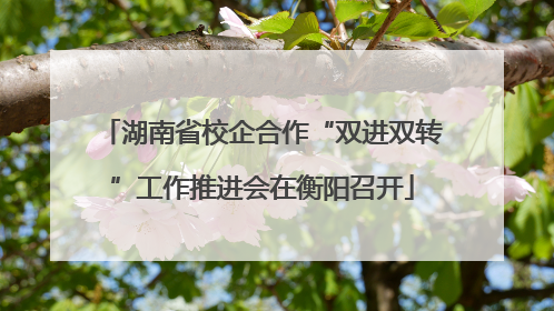 湖南省校企合作“双进双转”工作推进会在衡阳召开