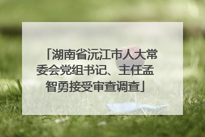 湖南省沅江市人大常委会党组书记、主任孟智勇接受审查调查