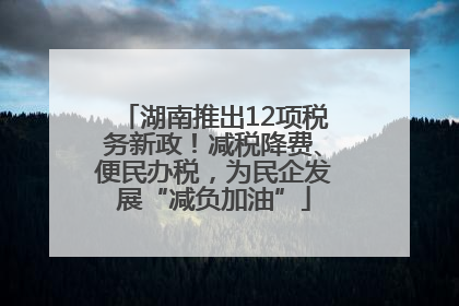 湖南推出12项税务新政！减税降费、便民办税，为民企发展“减负加油”