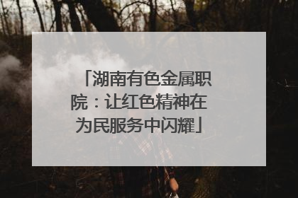 湖南有色金属职院：让红色精神在为民服务中闪耀