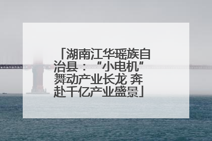 湖南江华瑶族自治县：“小电机”舞动产业长龙 奔赴千亿产业盛景