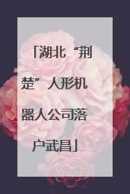 湖北“荆楚”人形机器人公司落户武昌