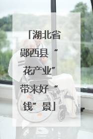 湖北省郧西县“花产业”带来好“钱”景
