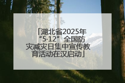 湖北省2025年“5·12”全国防灾减灾日集中宣传教育活动在汉启动