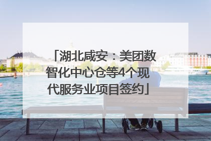 湖北咸安：美团数智化中心仓等4个现代服务业项目签约