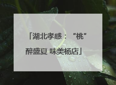 湖北孝感：“桃”醉盛夏 味美杨店