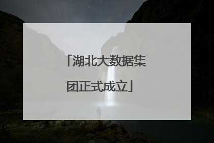 湖北大数据集团正式成立