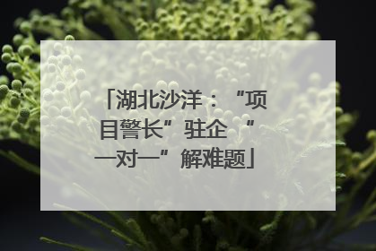 湖北沙洋：“项目警长”驻企 “一对一”解难题