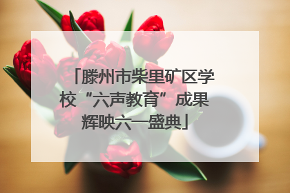 滕州市柴里矿区学校“六声教育”成果辉映六一盛典