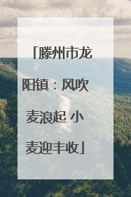 滕州市龙阳镇：风吹麦浪起 小麦迎丰收