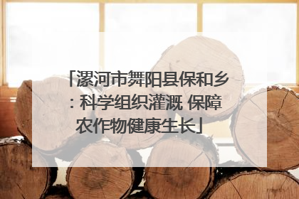 漯河市舞阳县保和乡：科学组织灌溉 保障农作物健康生长