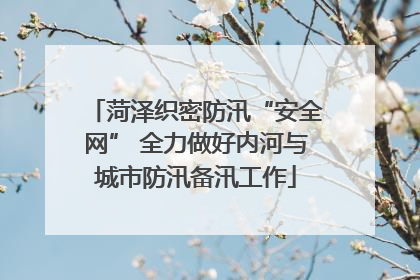 菏泽织密防汛“安全网” 全力做好内河与城市防汛备汛工作