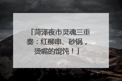 菏泽夜市灵魂三重奏：红柳串、砂锅，烫嘴的馄饨！