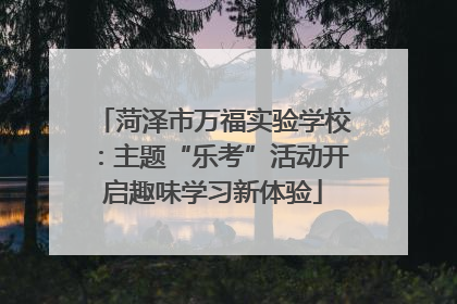 菏泽市万福实验学校：主题“乐考”活动开启趣味学习新体验