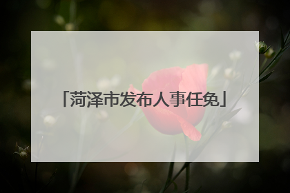 菏泽市发布人事任免