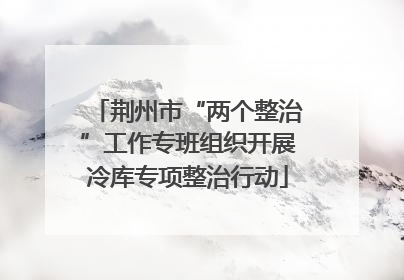 荆州市“两个整治”工作专班组织开展冷库专项整治行动