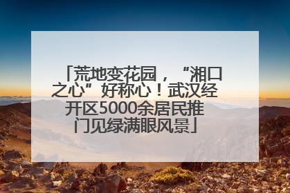 荒地变花园，“湘口之心”好称心！武汉经开区5000余居民推门见绿满眼风景