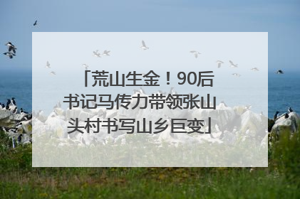 荒山生金！90后书记马传力带领张山头村书写山乡巨变