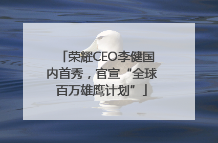 荣耀CEO李健国内首秀，官宣“全球百万雄鹰计划”