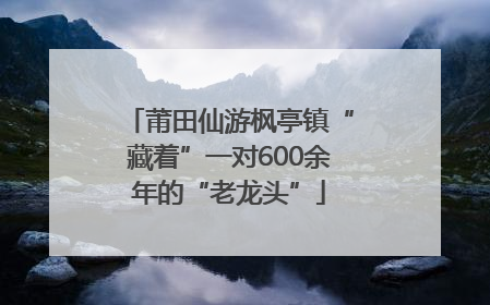 莆田仙游枫亭镇“藏着”一对600余年的“老龙头”