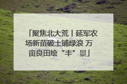 聚焦北大荒丨延军农场新苗破土铺绿浪 万亩良田绘“丰”景