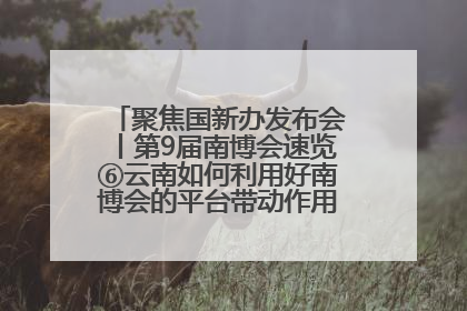 聚焦国新办发布会丨第9届南博会速览⑥云南如何利用好南博会的平台带动作用，深化与南亚国家的交流与合作？
