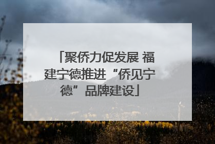 聚侨力促发展 福建宁德推进“侨见宁德”品牌建设