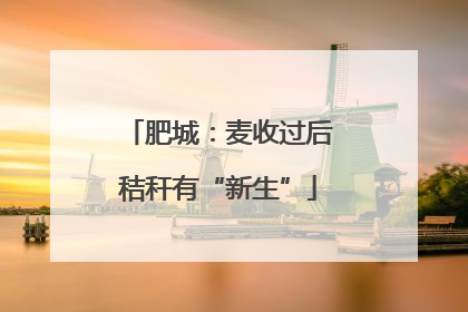 肥城：麦收过后秸秆有“新生”