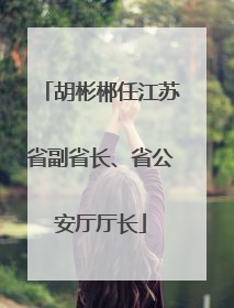胡彬郴任江苏省副省长、省公安厅厅长
