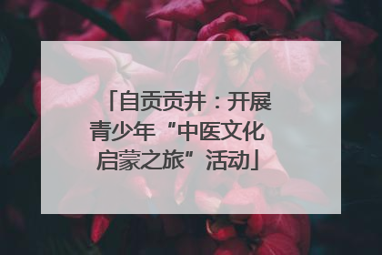 自贡贡井：开展青少年“中医文化启蒙之旅”活动