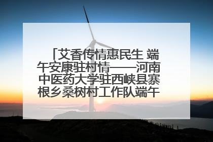 艾香传情惠民生 端午安康驻村情——河南中医药大学驻西峡县寨根乡桑树村工作队端午中医惠民记
