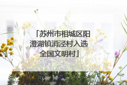 苏州市相城区阳澄湖镇消泾村入选全国文明村