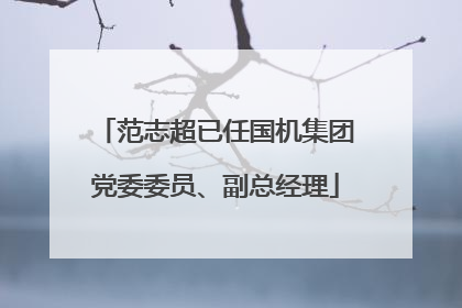 范志超已任国机集团党委委员、副总经理