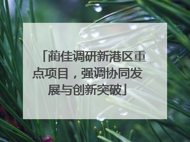 蔺佳调研新港区重点项目，强调协同发展与创新突破