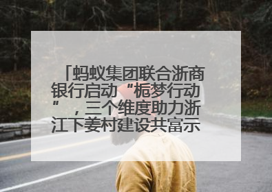 蚂蚁集团联合浙商银行启动“栀梦行动”，三个维度助力浙江下姜村建设共富示范区示范点