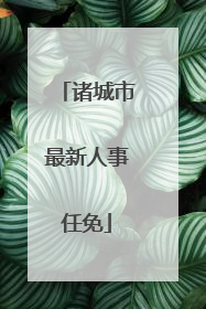 诸城市最新人事任免