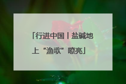 行进中国丨盐碱地上“渔歌”嘹亮