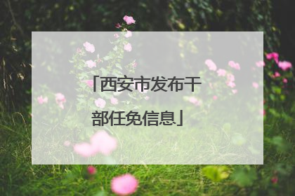 西安市发布干部任免信息