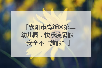 襄阳市高新区第二幼儿园：快乐度暑假 安全不“放假”