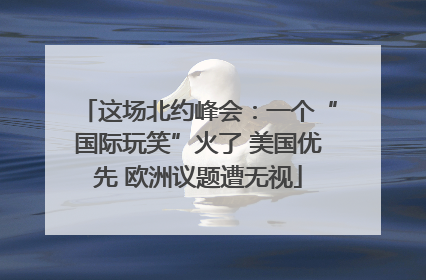 这场北约峰会：一个“国际玩笑”火了 美国优先 欧洲议题遭无视