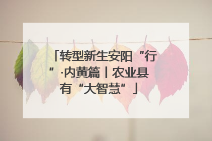 转型新生安阳“行”·内黄篇丨农业县有“大智慧”