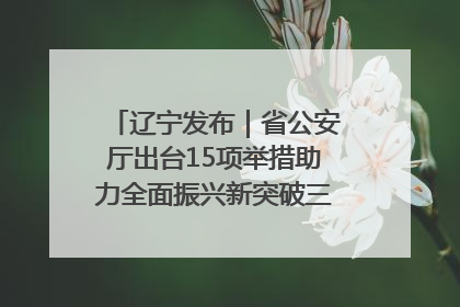 辽宁发布｜省公安厅出台15项举措助力全面振兴新突破三年行动决胜之战