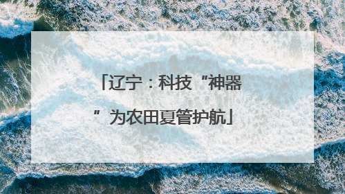 辽宁：科技“神器”为农田夏管护航