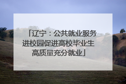 辽宁：公共就业服务进校园促进高校毕业生高质量充分就业